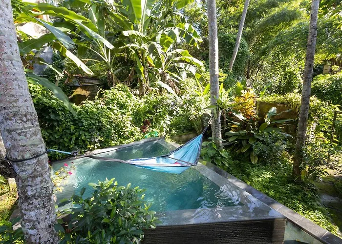 Treehouse With Private Pool Near Yogabarn - In Center - Adult Only *