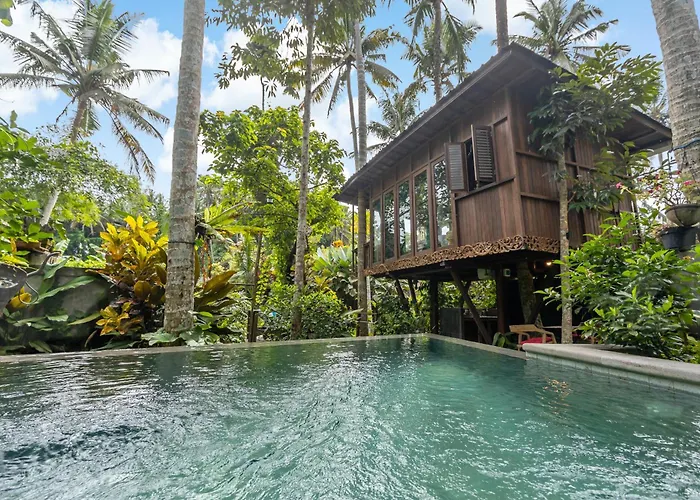 Ferienhaus Treehouse With Private Pool Near Yogabarn - In Center - Adult Only *