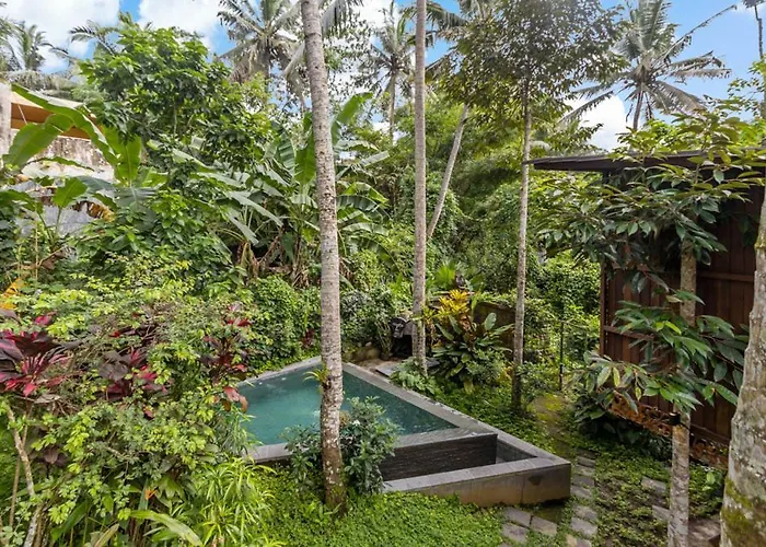 Treehouse With Private Pool Near Yogabarn - In Center - Adult Only