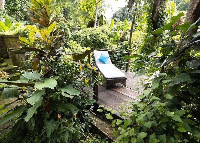 Treehouse With Private Pool Near Yogabarn - In Center - Adult Only *