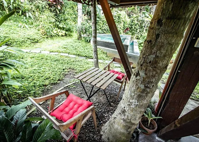 Treehouse With Private Pool Near Yogabarn - In Center - Adult Only