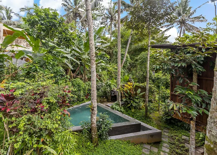 Treehouse With Private Pool Near Yogabarn - In Center - Adult Only *