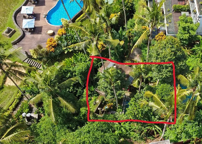 Treehouse With Private Pool Near Yogabarn - In Center - Adult Only *