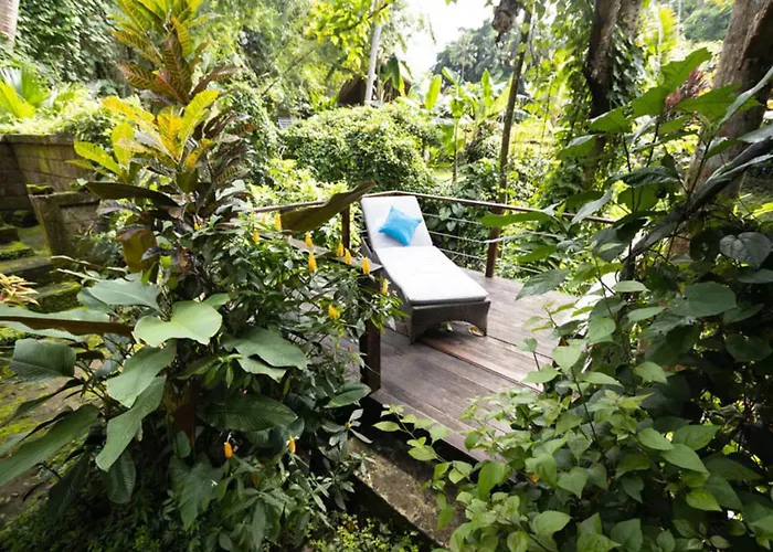 Treehouse With Private Pool Near Yogabarn - In Center - Adult Only *
