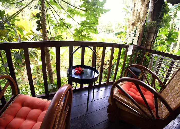 Treehouse With Private Pool Near Yogabarn - In Center - Adult Only *