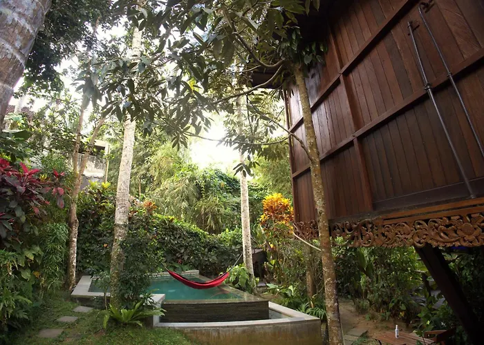 Ferienhaus Treehouse With Private Pool Near Yogabarn - In Center - Adult Only *