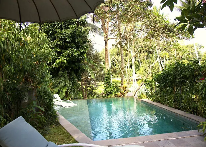 Ferienhaus Treehouse With Private Pool Near Yogabarn - In Center - Adult Only Ubud