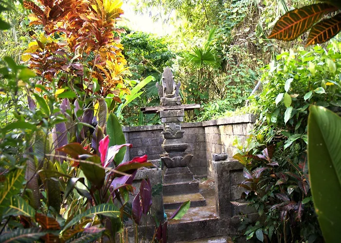 Treehouse With Private Pool Near Yogabarn - In Center - Adult Only