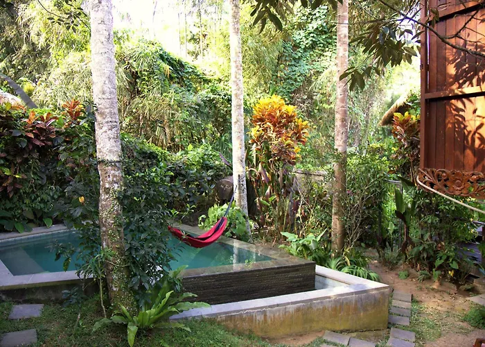 Treehouse With Private Pool Near Yogabarn - In Center - Adult Only Ferienhaus